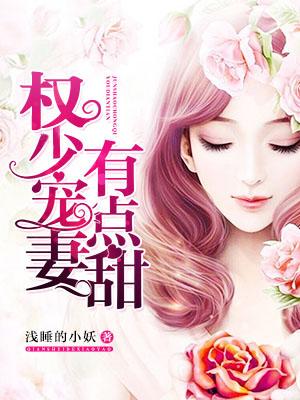 權少寵妻有點甜