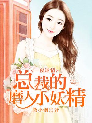 一夜迷情：總裁的磨人小妖精