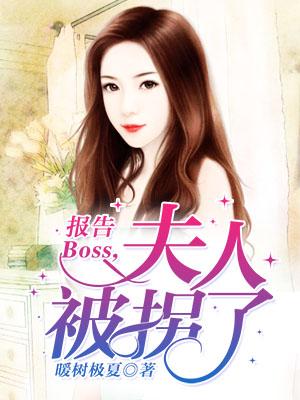 報告Boss：夫人被拐了