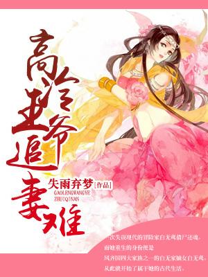 高冷王爺追妻難