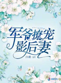 軍爺撩寵影後妻