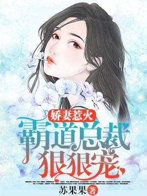 嬌妻惹火：霸道總裁狠狠寵