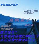 逆轉的命運之真假皇子