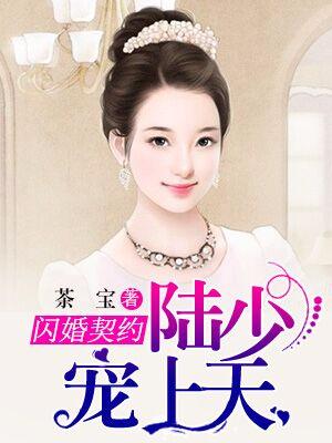 閃婚契約：陸少寵妻上天