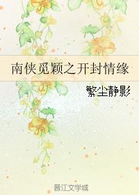 南俠覓穎之開封情緣
