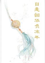 自是韶華負流年