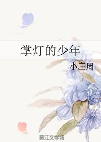 掌燈的少年