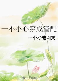 一不小心穿成渣配