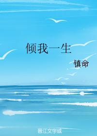 傾我一生