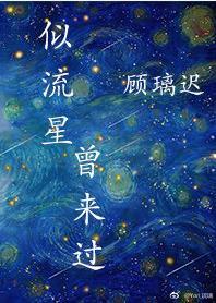 似流星曾來過