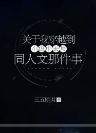 關于我穿越到小說中去寫同人文那件事