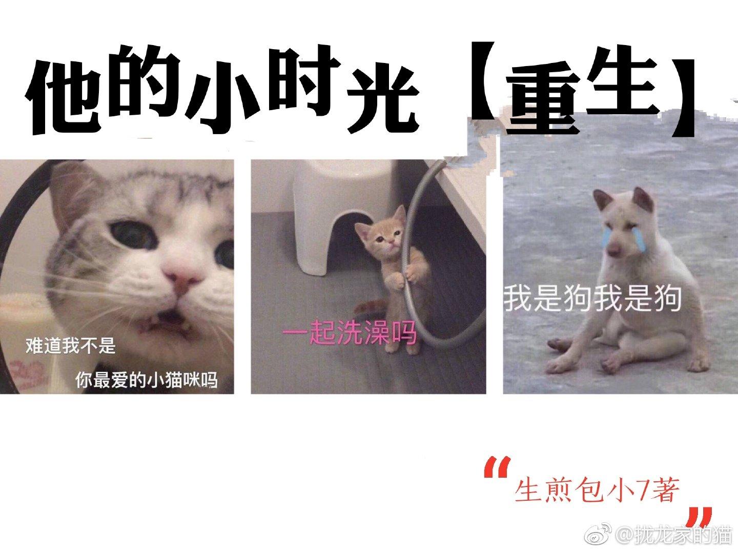 他的小時光重生