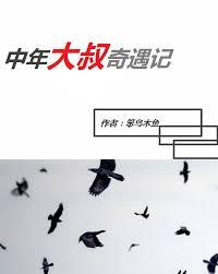 中年大叔奇遇記