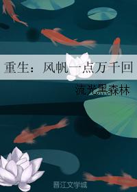 重生：風帆一點萬千回