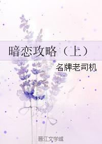 暗戀攻略（上）