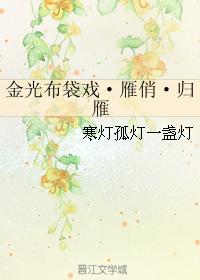 金光布袋戲·雁俏·歸雁