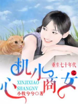 重生七十年代之心機小商女