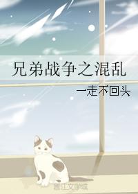 兄弟戰争之混亂