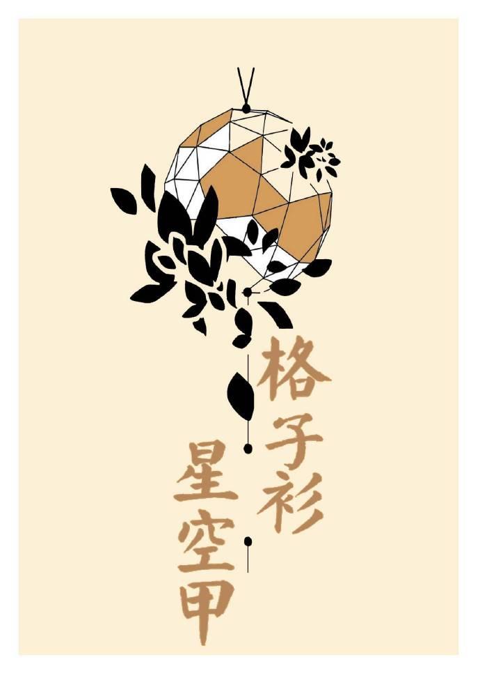 格子衫和星空甲