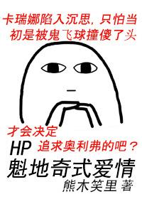 HP魁地奇式愛情
