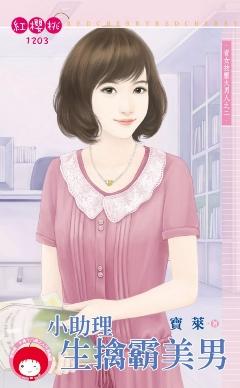 小助理生擒霸美男（資女技壓大男人之二）