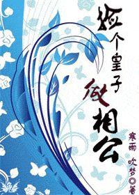 撿個皇子做相公（女尊）