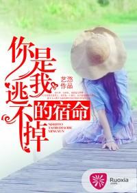 你是我逃不掉的宿命