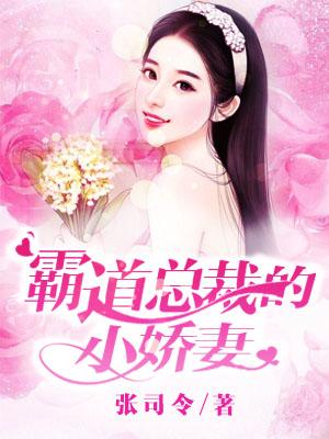 霸道總裁的小嬌妻