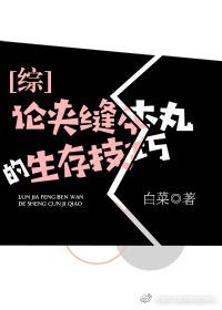 論夾縫本丸的生存技巧[綜]