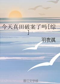 今天真田破案了嗎[綜]