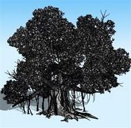 大學榕樹兇殺案