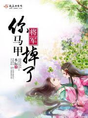 将軍，你馬甲掉了