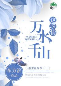 這段情萬水千山