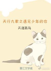 天行九歌之遇見少年的你