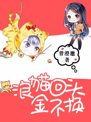 浪貓回頭金不換