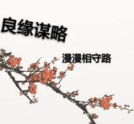 良緣謀略漫漫相守路