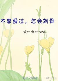 不曾愛過，怎會刻骨