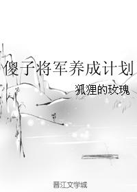 傻子将軍養成計劃