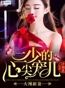 火辣新妻：二少的心尖寵兒