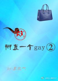 掰直一個gay第二部