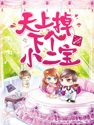 天上掉下個小二寶