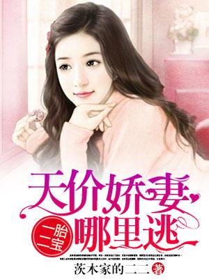 一胎二寶：天價嬌妻哪裏逃