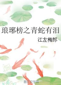 琅琊榜之青蛇有淚