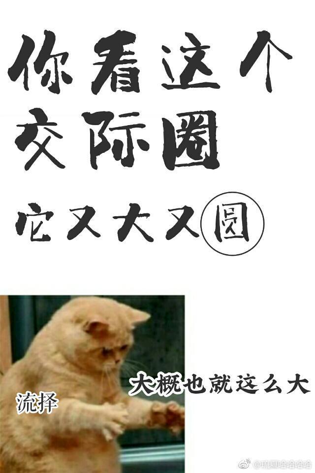 你看這個交際圈，它又大又圓