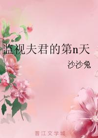 監視夫君的第n天