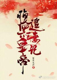 腹黑皇帝追妻記