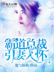 霸道總裁引妻入懷