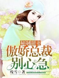秘制甜妻：傲嬌總裁別心急