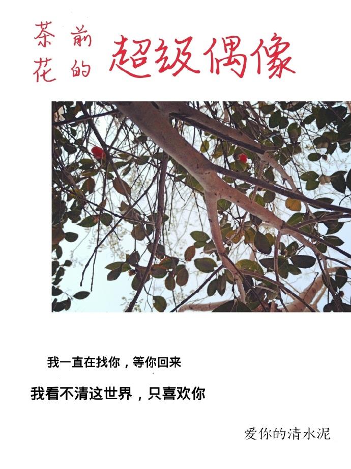 茶花前的超級偶像