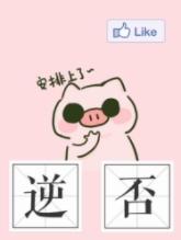 每天都求官方逆cp